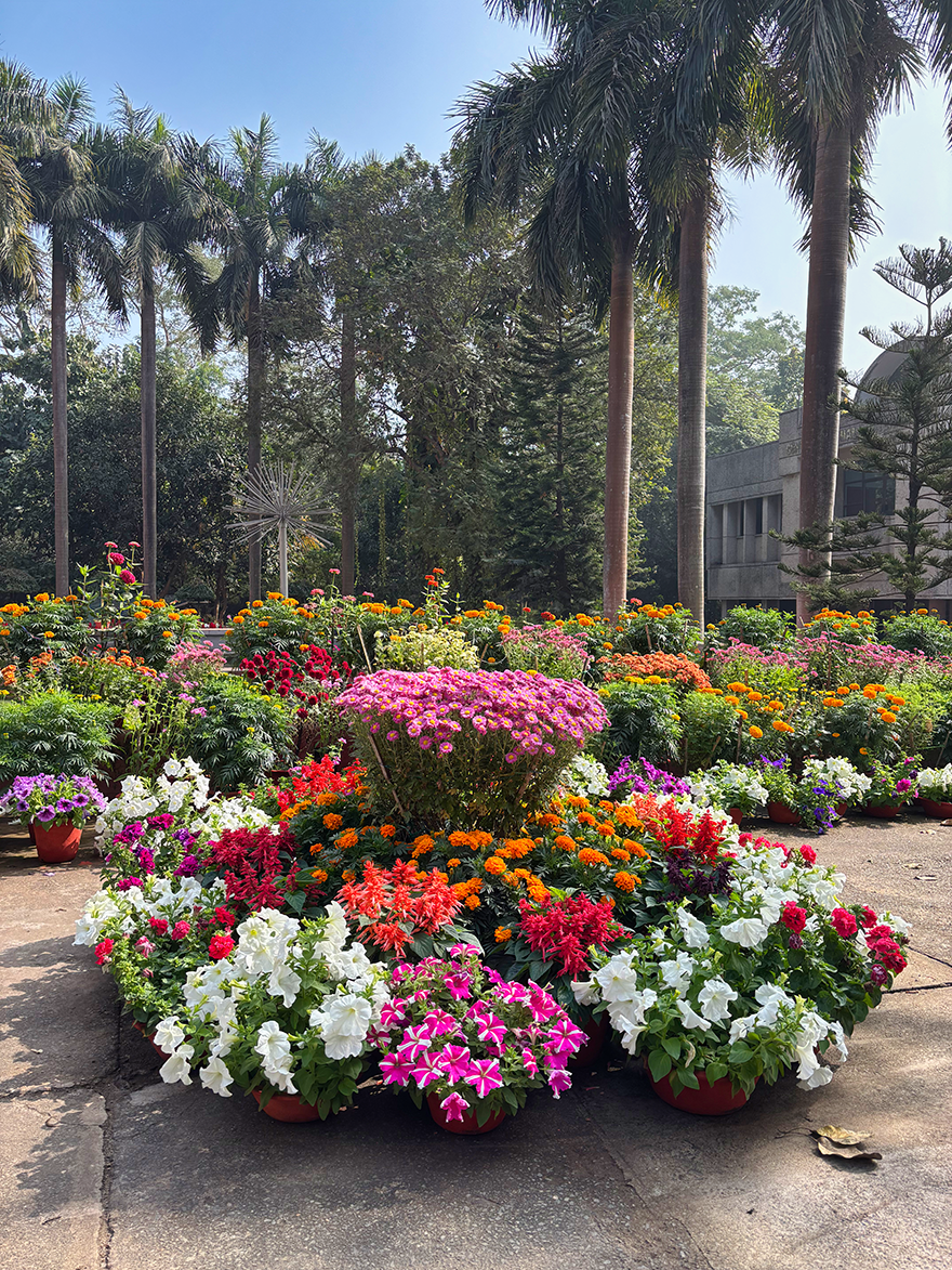 Plethora of Flowers