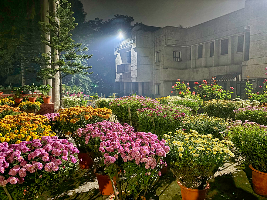 Garden at Night